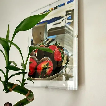 Guest house Seaview Rooms - Panoramic Kvarner Bay View Rijeka